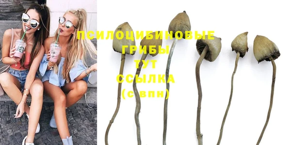 дмт Нягань