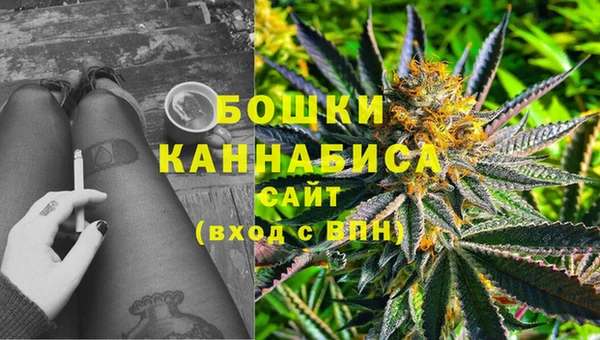 дмт Нягань