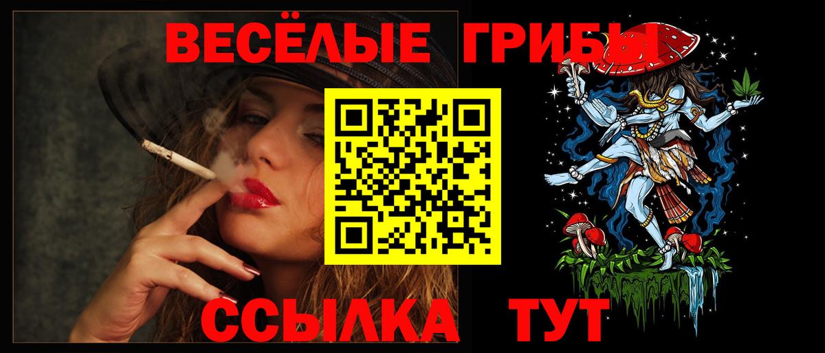 где можно купить наркотик  Вход с VPN  Псилоцибиновые грибы мухоморы  Северск  Галлюциногенные грибы Psilocybe 